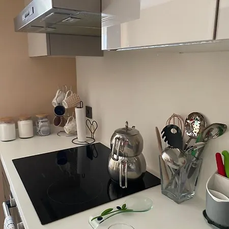 Sehrin Merkezinde Yepyeni Modern Dosenmis Daire דירה בורסה