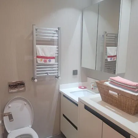 Sehrin Merkezinde Yepyeni Modern Dosenmis Daire דירה *