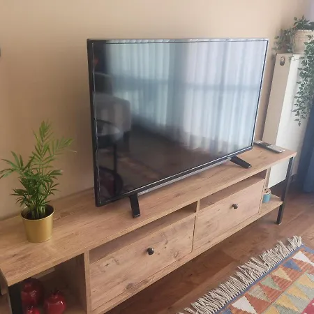 Sehrin Merkezinde Yepyeni Modern Dosenmis Daire דירה בורסה